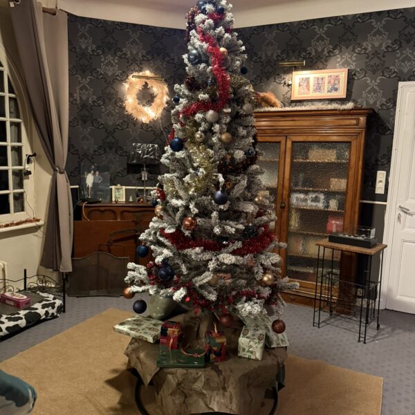 Sapin de noël à la Pension Canine Atoll Câlin Comme à la Maison à Saint Brieuc en Bretagne dans les Côtes d'Armor
