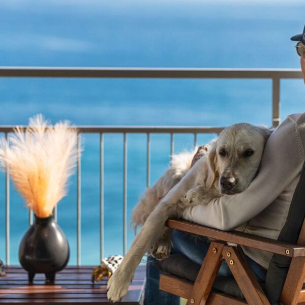 Chien tranquille sur une terrasse face à la mer Méditerranée à Baba Residences à Alassio en Italie