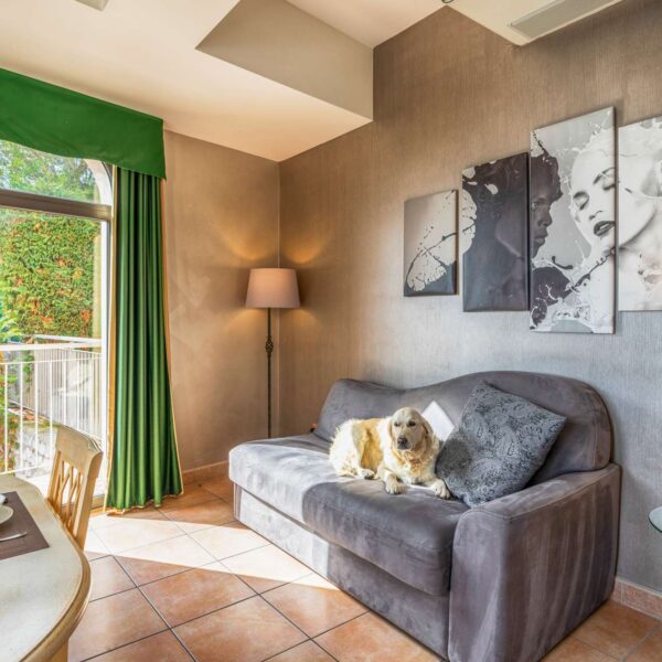 Chien heureux sur le canapé de l'appartement de Baba Residences à Alassio en Italie