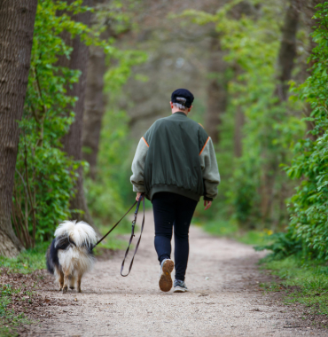 homme et son chien dans la forêt corrézienne