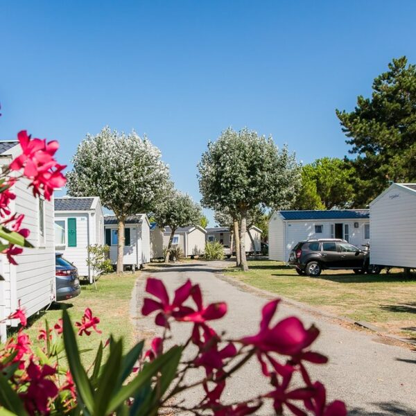 Mobilhomes du Camping Eden Villages L'Océan & Spa sur l'Ile de Ré en Charente Maritime sur la Côte Atlantique