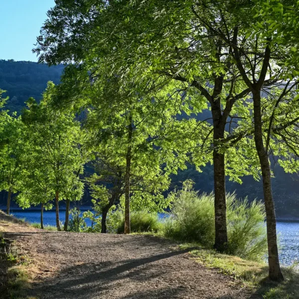 Camping Lac de Villefort