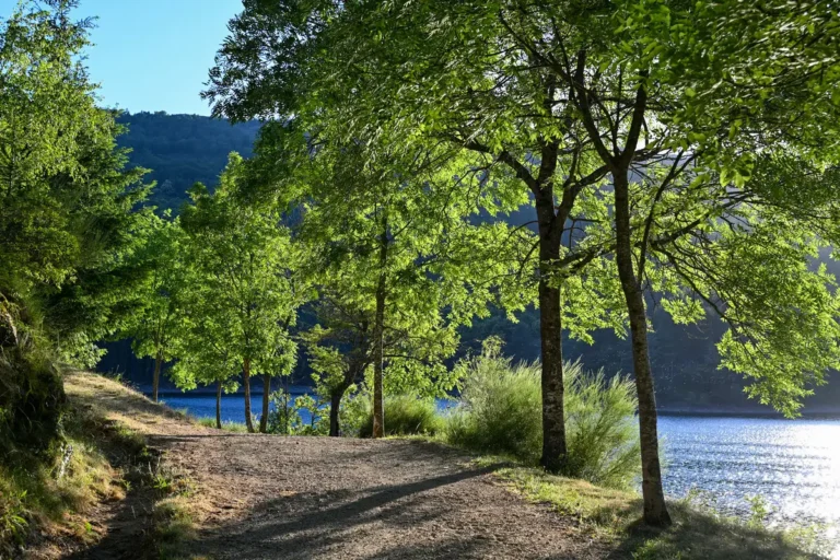 Camping Lac de Villefort – photo 14