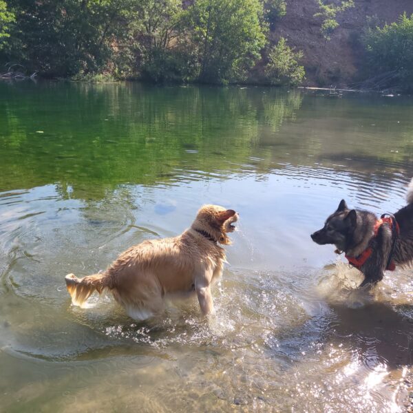 Camping Le Val de Cesse