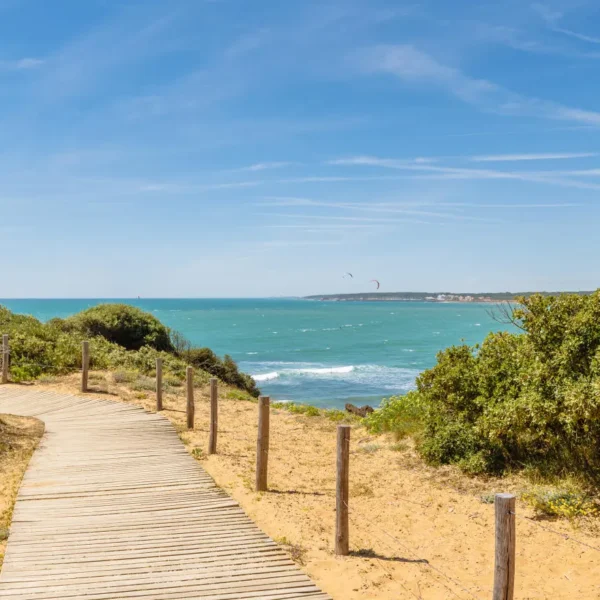 Plages accessibles aux chiens toute l'année en Vendée - Camping Les Places Dorées, à Saint-Jean-de-Monts, en Vendée
