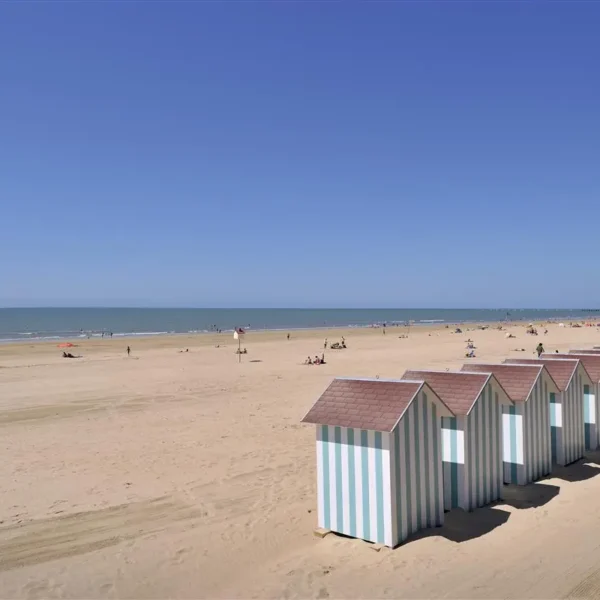 Plage autorisées aux chiens toute l'année en Vendée