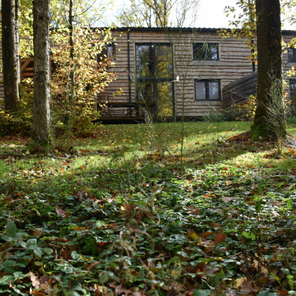 Gîte Cocon dans la forêt, hébergement insolite en Belgique à Philippeville