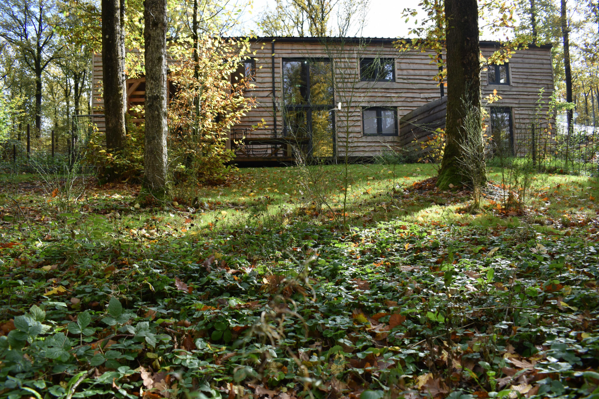 Gîte Cocon dans la forêt