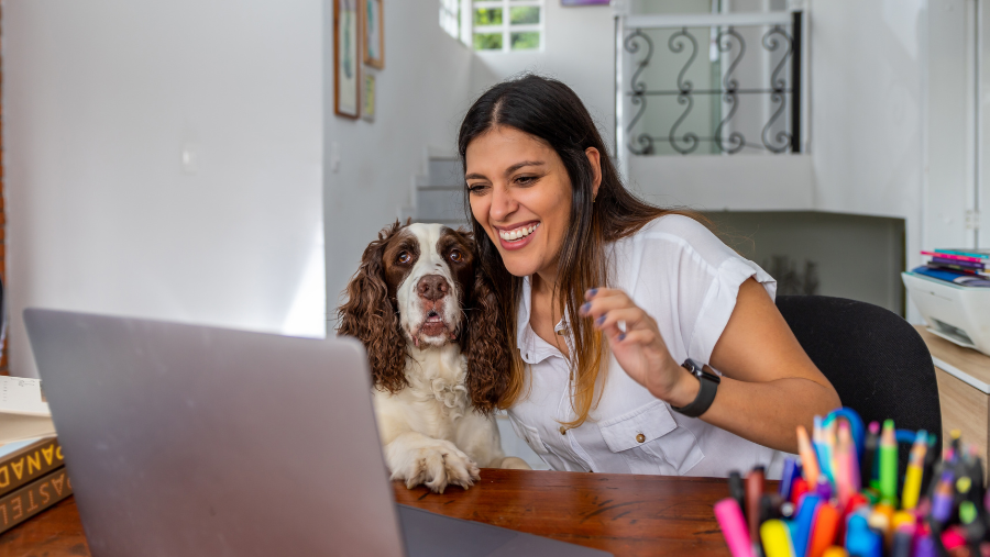 études animalières avec un chien