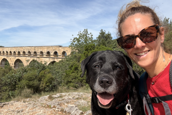 Voyager avec un chien senior : le guide pour partir en vacances ensemble