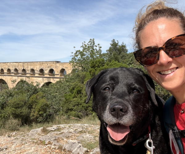 Voyager avec un chien senior : le guide pour partir en vacances ensemble