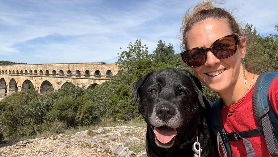Voyager avec un chien senior : le guide pour partir en vacances ensemble