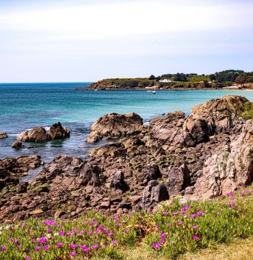 paysage de l'île d'Yeu dans le Nord de la Vendée à visiter hors saison avec un chien