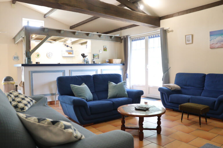 Salon lumineux avec canapés - Le Cottage Bleu à Lairoux en Sud Vendée proche de la Côte Atlantique