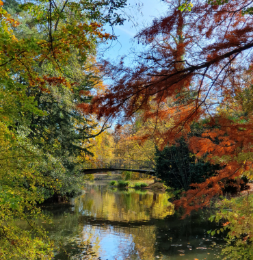 Parc de l'Orangerie chiens acceptés à Strasbourg