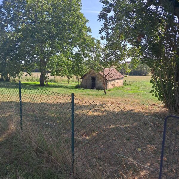 Pension pour chiens en long séjour à Montagny-Près-Louhans, - Pension et garderie canine 4 Paws Dogs Care, en Saone-et-Loire