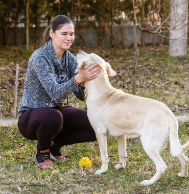 pet-sitter professionnelle joue et caresse un chien labrador