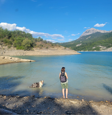 chien qui se baigne dans le lac de Serre-Ponçon sur la plage