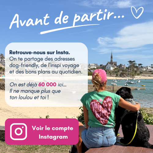 abonne toi au insta de emmenetonchien.com