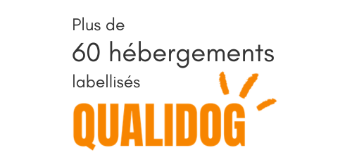 offres QUALIDOG