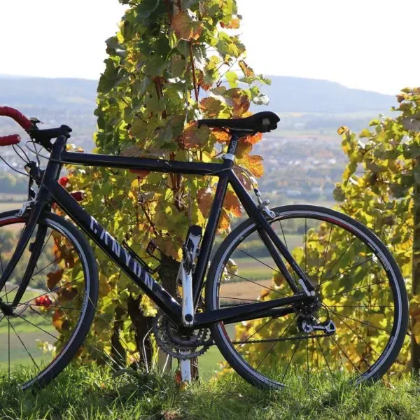 Balade à vélo près du Rev'Hôtel à Lamalou les Bains dans l'Hérault dans le Parc Naturel du Haut Languedoc