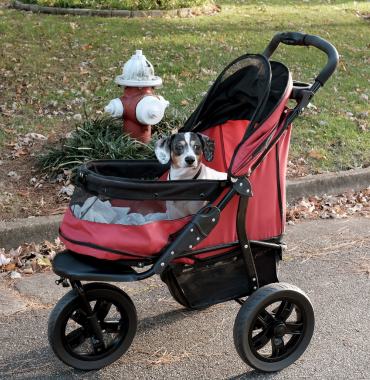 poussette pour chien âgé ou douloureux