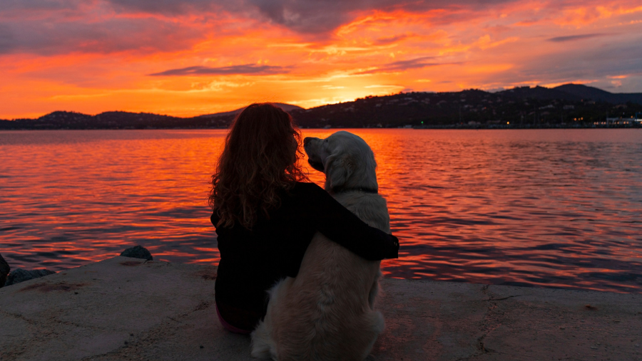 lever de soleil avec son chien en hiver à Roquebrune sur Argens, côte varoise