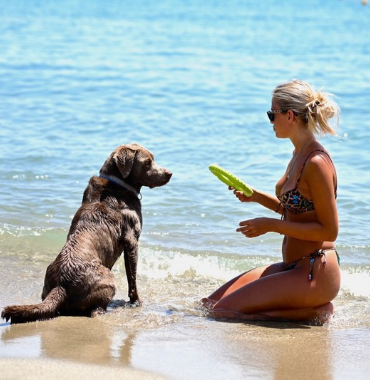 femme jouant avec son chien au bord de la mer sur la plage dog-friendly à Alassio en Italie à moins de 2h de la France