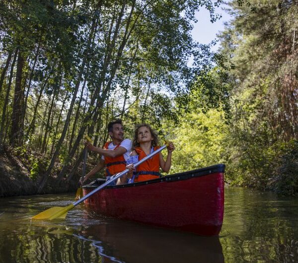 Domaine Les Hauts de Bruyeres Center Parcs, chiens acceptés