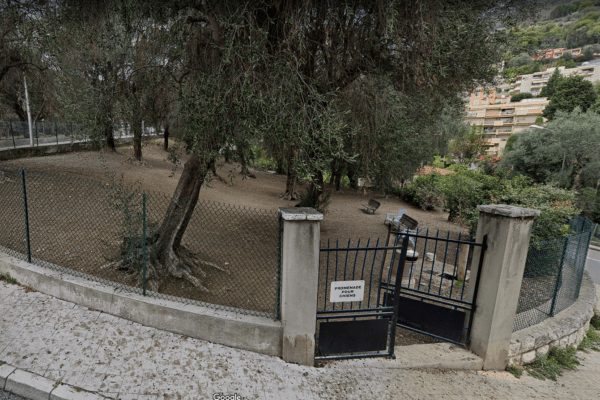 Parc à chien du Pian