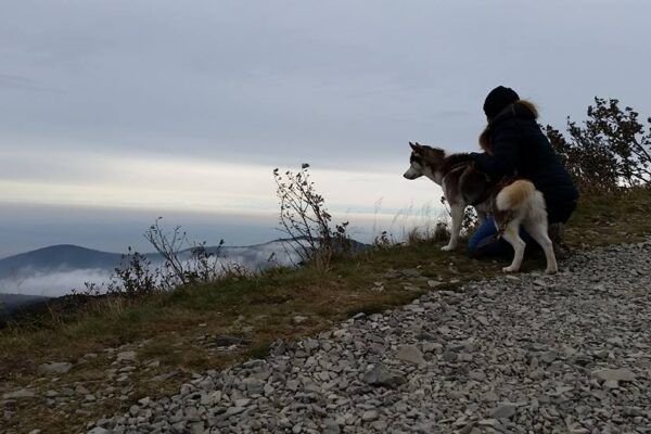 Le Mont Forchat