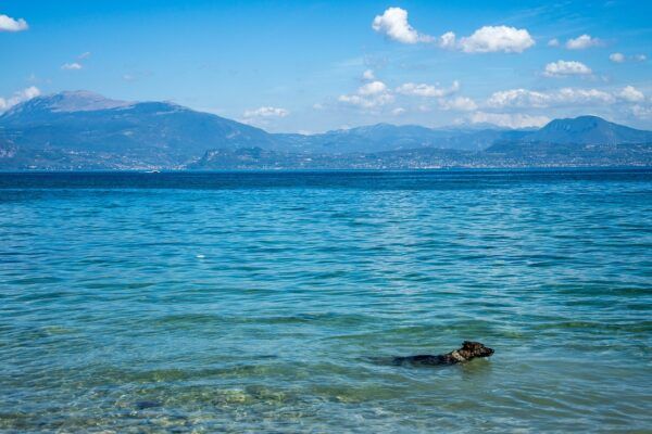 Plage de Sciez