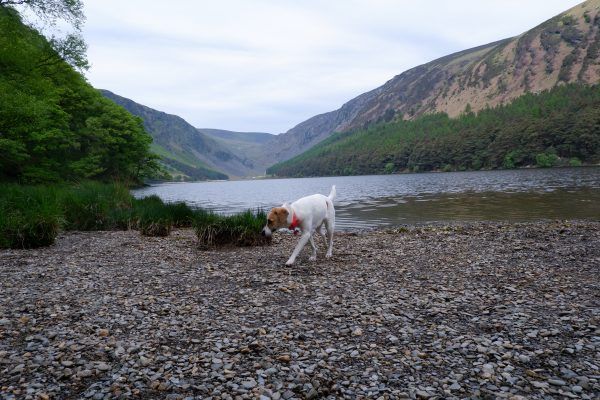 Glendalough