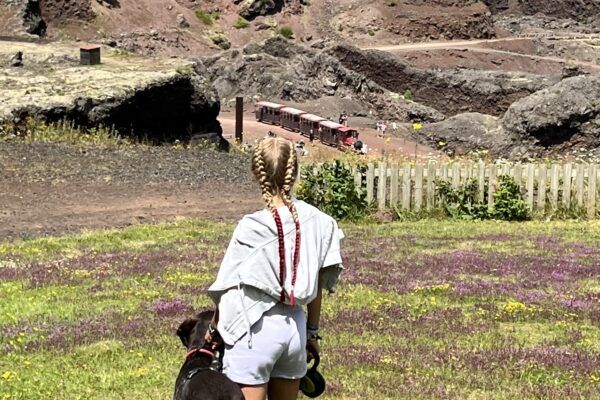 Volcan de Lemptégy