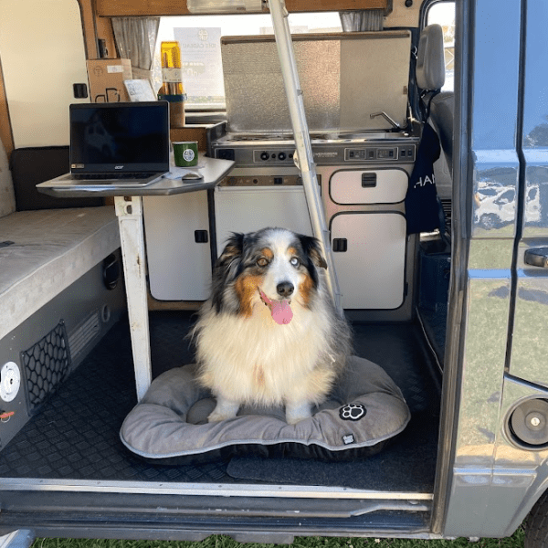 Loutipi - Noleggio furgone per cani consentito in Bretagna