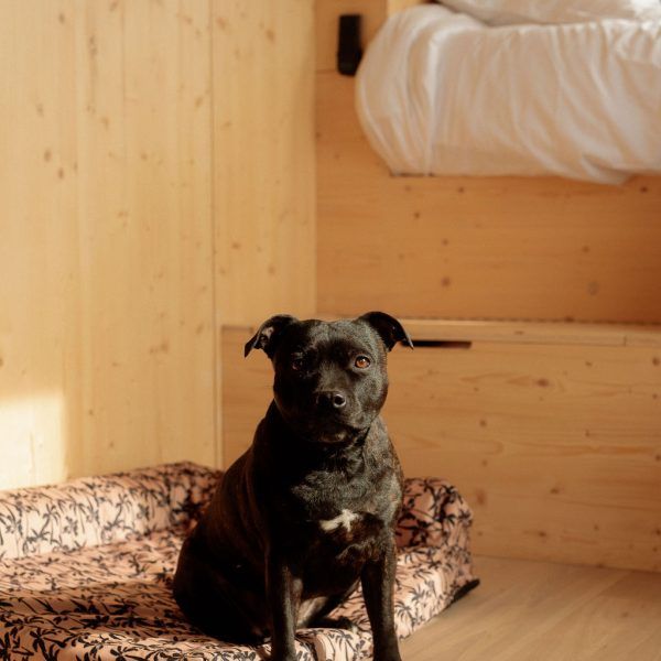 Tiny House Parcel Ferme de Beaulieu dans la Sarthe - animaux acceptés - EmmèneTonChien.com