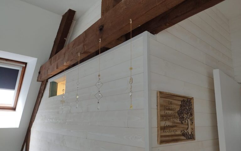 Le Repaire du Loup Blanc – photo 11