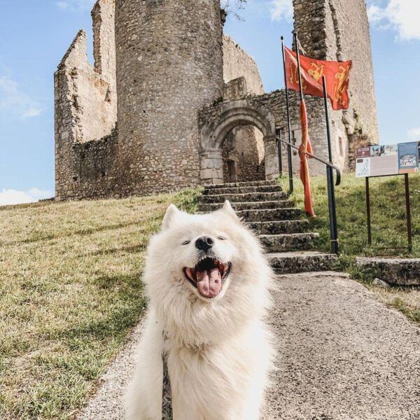 Forteresse d'Angles sur l'Anglin