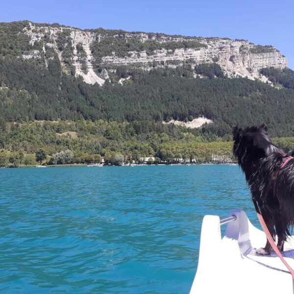 Lac de Nantua