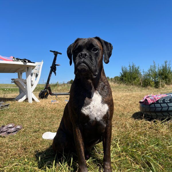 Camping Lune sur le Lac