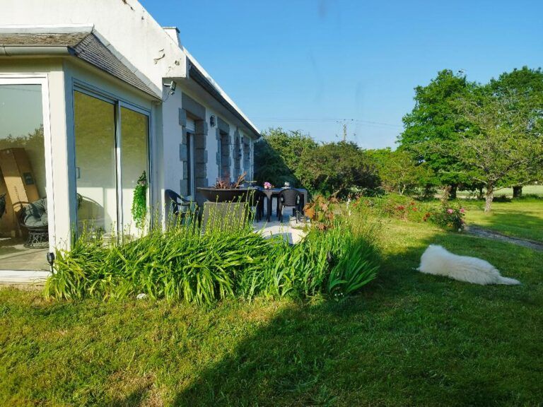 Le Repaire du Loup Blanc – photo 1
