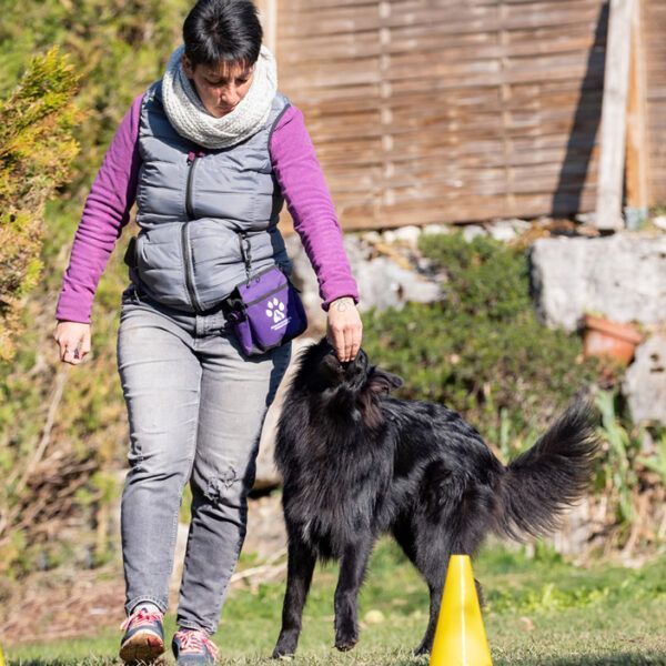Des parcs canins pour le bien-être des chiens - Ville de Valbonne