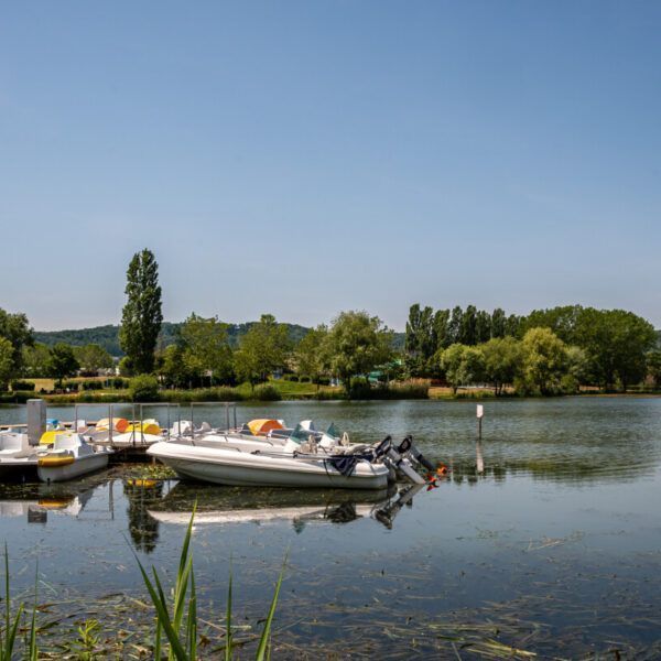 lac de Vesoul Vaivre autorisé aux chiens