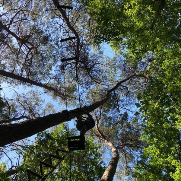 Forêt du camping seasonova La foret dans la Sarthe