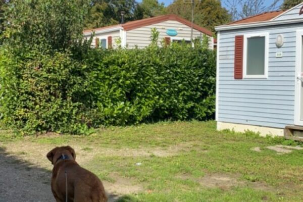 Camping la Faloise