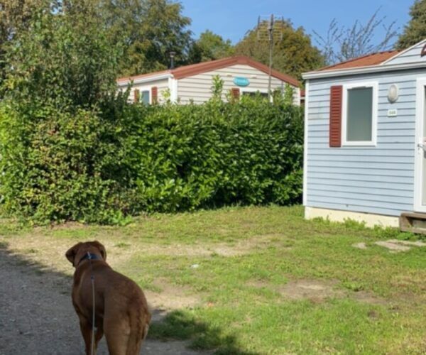 Camping la Faloise