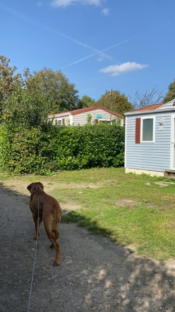 Camping la Faloise – photo 1