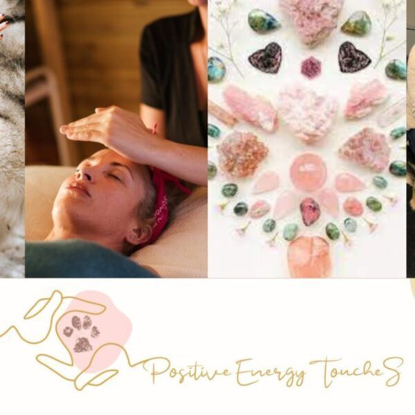 Positive Energy ToucheS - bien être animal - communication animale - massage canin - emmenetonchien.com