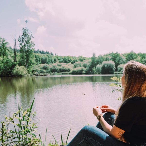 Etang des bois dans le Loiret