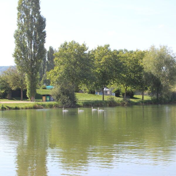 lac de Vesoul Vaivre autorisé aux chiens